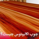 چوب اکالیپتوس چیست؟