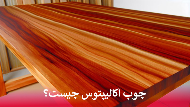 چوب اکالیپتوس چیست؟
